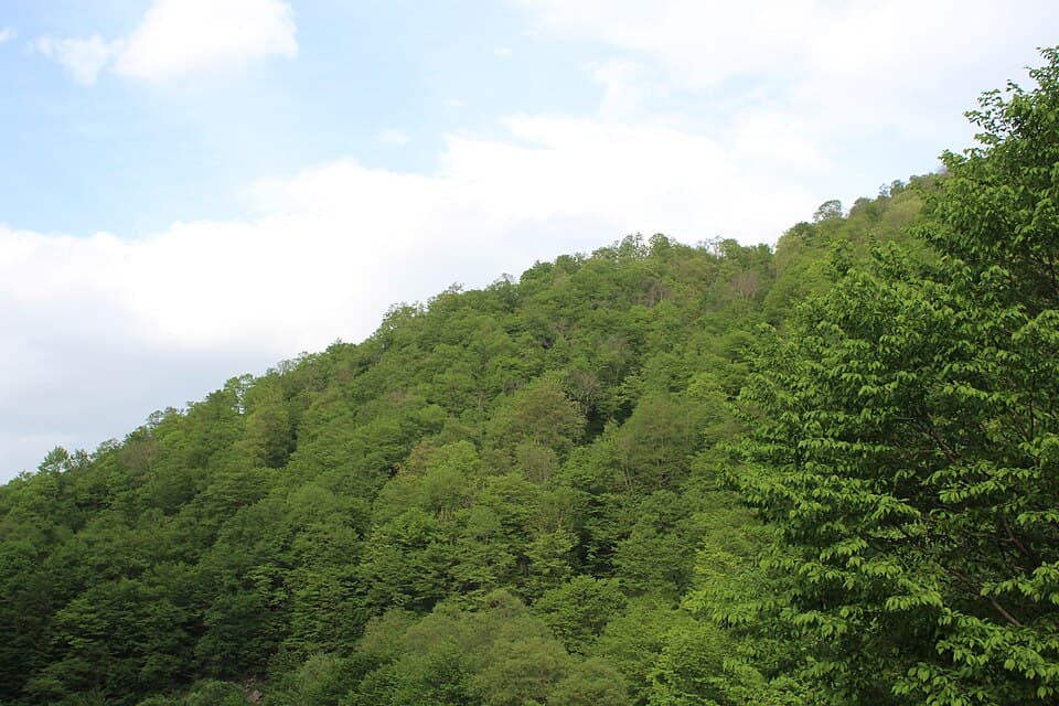 Dilijan National Park